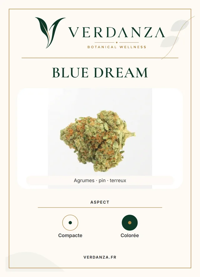 Fiche produit Blue Dream Verdanza