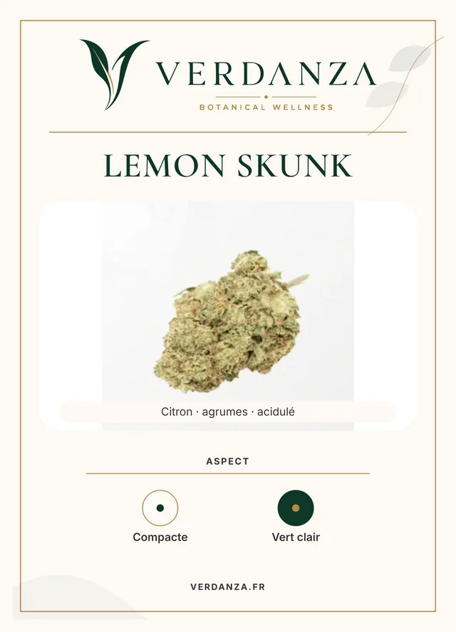 Fiche produit Lemon Skunk Verdanza