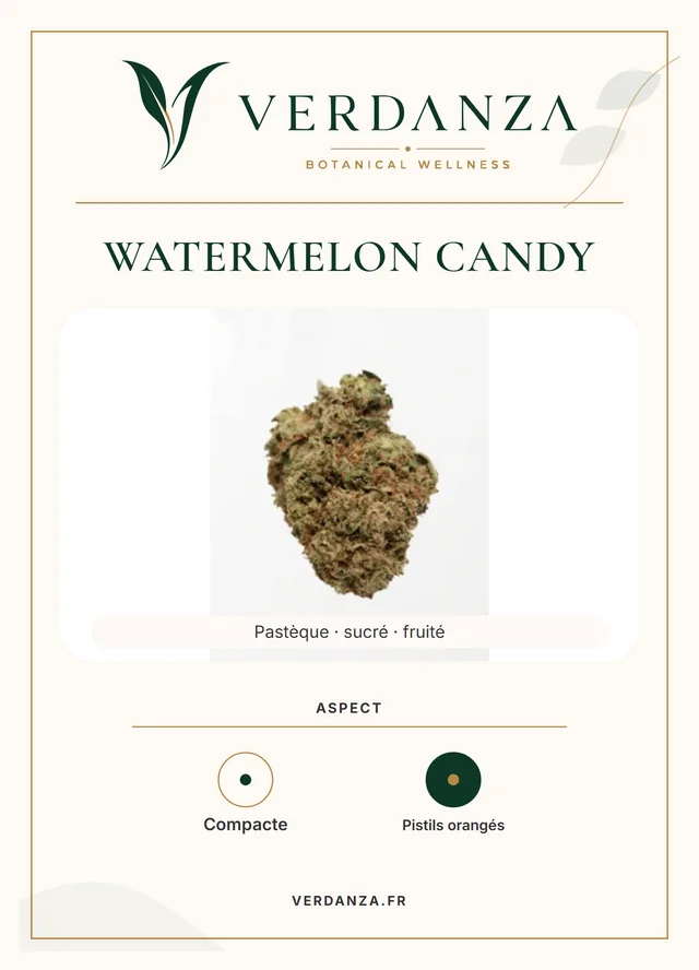Fiche produit Watermelon Candy Verdanza