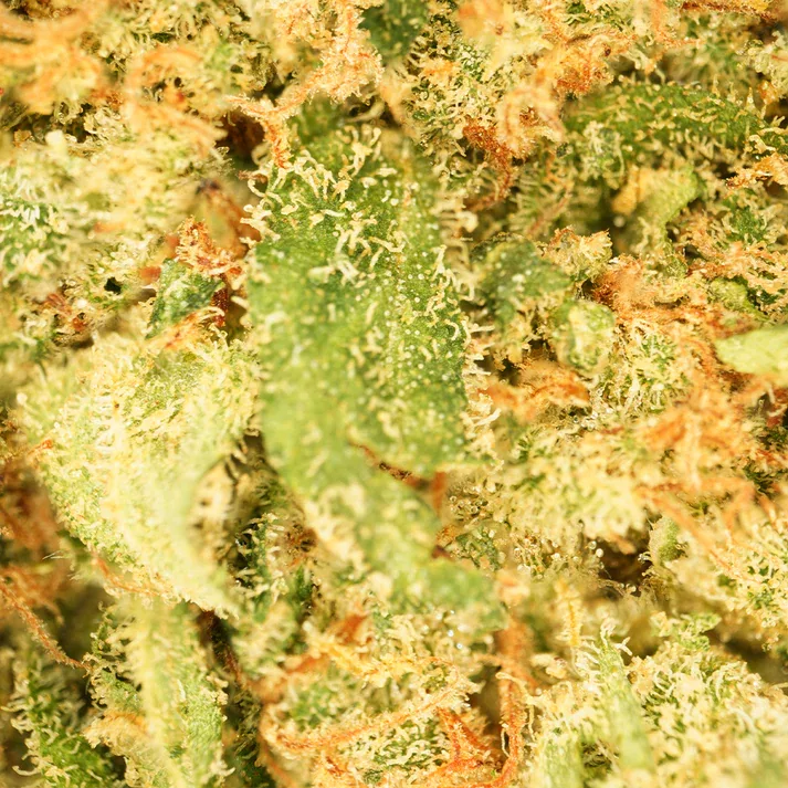Fleur Blue Dream CBD Verdanza