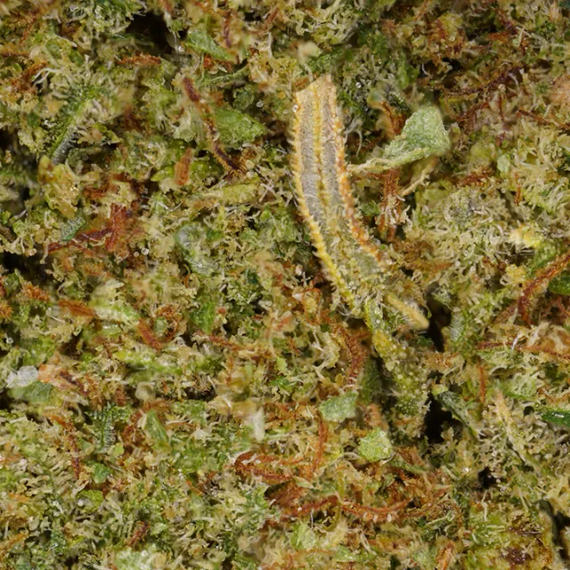 Fleur Mandarine CBD Verdanza